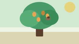 A lush mango tree in a sunlit courtyard with a  sparrow's nest nestled between its branches